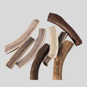 Antler for dog to chew_1